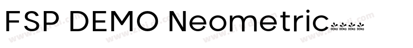 FSP DEMO Neometric字体转换 FSP DEMO Neometric字体转换